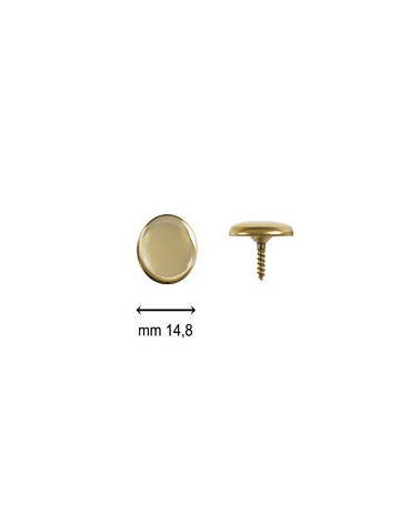 BUTTONS SCREW C24 WITH GOLD RING GOLD MIRROR