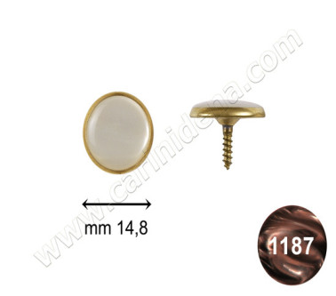 bottoni c24 mm 14 8 c oro  perla marrone scuro