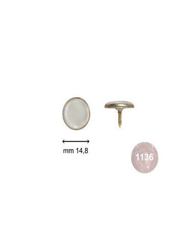 bottoni c24 mm 14 8 c arg  perla bianco