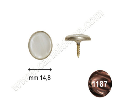 bottoni c24 mm 14 8 c arg  perla marrone scuro