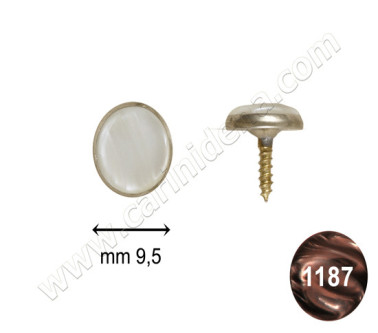 bottoni c14 mm 9 6 c arg  perla marrone scuro