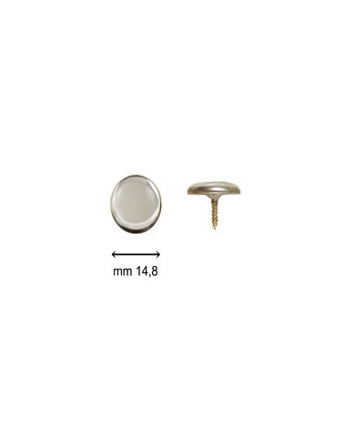 BUTTONS SCREW C24 WITH SILVER RING SILVER MIRROR