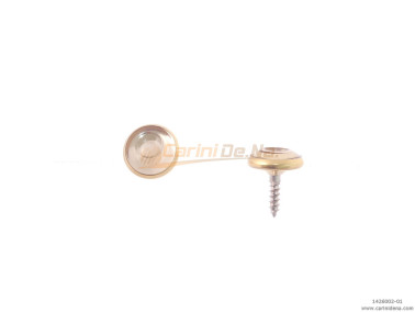 bottoni c14 svas mm 9 6 c oro  specchio oro