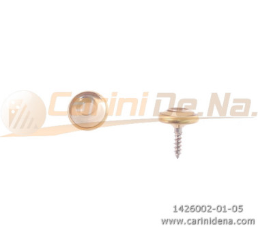 bottoni c14 svas mm 9 6 c oro  specchio oro
