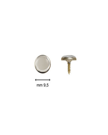 BUTTONS SCREW C14 WITH SILVER RING SILVER MIRROR