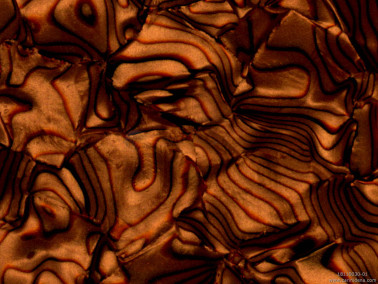 CELLULOIDE 7/10 - 1 STRATO - SHELL BRONZE- cm 160 X 70