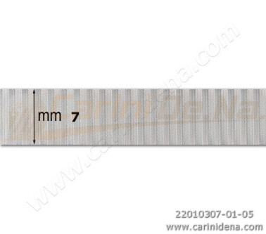 DERMOIDE  7 RIGATA ARGENTO IN BOBINE