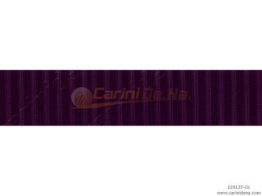 DERMOIDE 19 RIGATA VIOLA