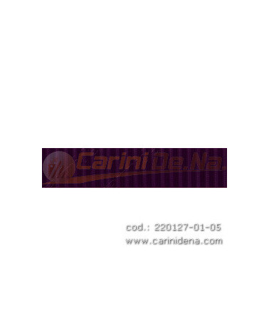 DERMOIDE 19 RIGATA VIOLA