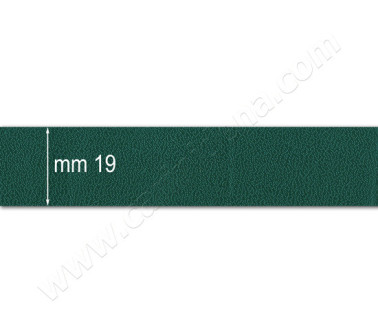 DERMOIDE 19 LISCIA VERDE