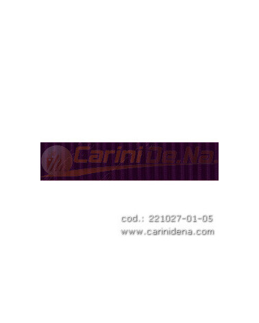 DERMOIDE PEZZA RIGATA VIOLA