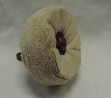 DISCHI LUCIDATURA FELPATI TRANC MORB + PERNO TRAP mm 80 X 30 G.8