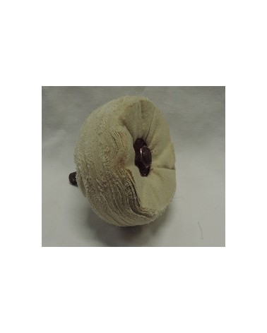 DISCHI LUCIDATURA FELPATI TRANC MORB + PERNO TRAP mm 80 X 30 G.8