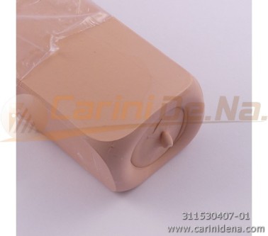 POLISHING COMPOUND ZN0407
